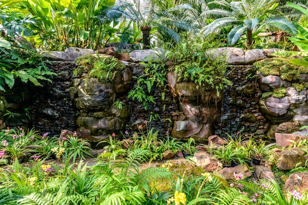 Chute d&#39;eau dans le jardin