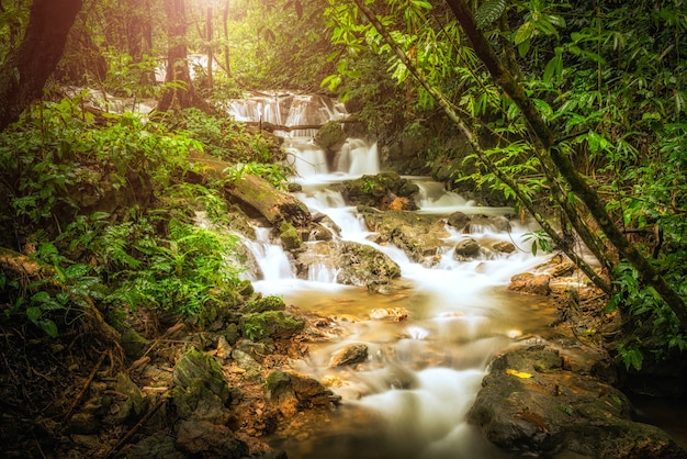 Chute d&#39;eau dans la jungle tropicale profonde ou la forêt tropicale. Fond de forêt de la nature.