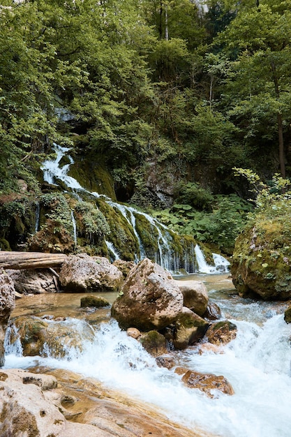 Une chute d'eau fait son chemin à travers les pierres dans les arbres verts de la forêt et les rochers de l'eau de montagne claire s'écoule d'au-dessus de la rivière de montagne