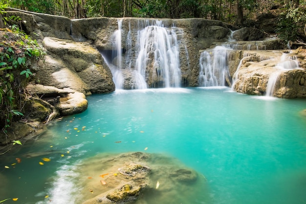 Chute d'eau forêt profonde pittoresque naturel