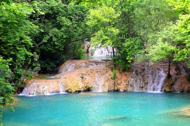 Chute d&#39;eau en forêt