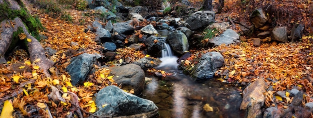 Chute d'eau sur une rivière de montagne dans la forêt d'automne