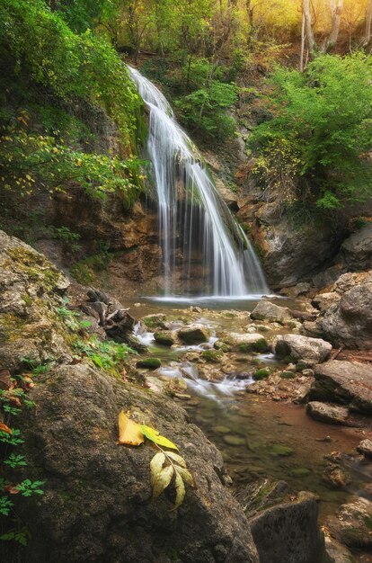 Chute d'eau et ruissellement Composition de la nature