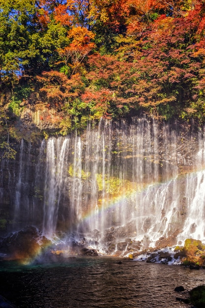 Chute d&#39;eau de Shiraito