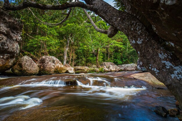 Chute d&#39;eau de Tad-Loei-nga. Belle cascade dans la province de Loei, Thaïlande.