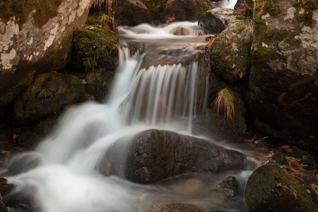 Chute d&#39;eau tombant sur une pierre avec de la mousse