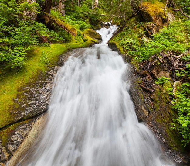 chute d&#39;eau