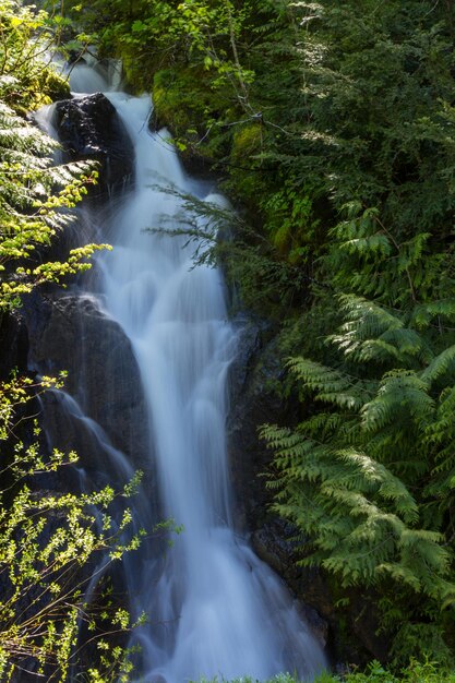 chute d&#39;eau