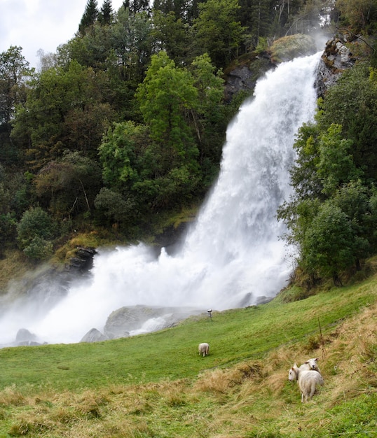 Photo chute d'eau