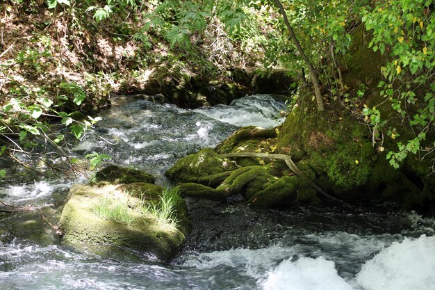 chute d&#39;eau