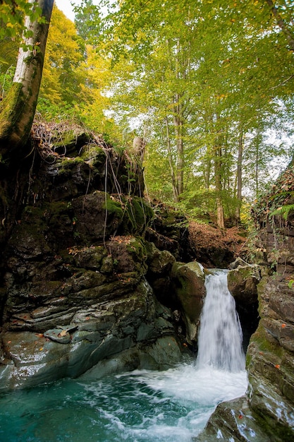 chute d&#39;eau