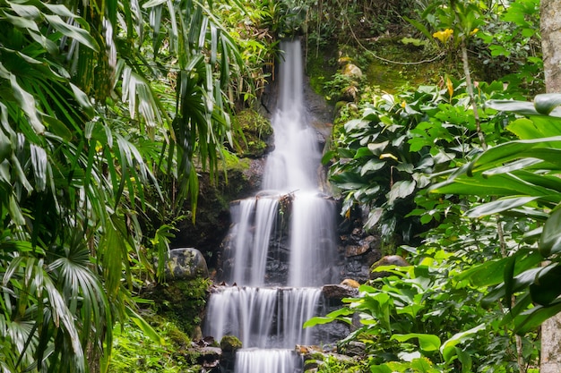 Chute d'exposition longue d'une cascade à Rio de Janeiro, Brésil.