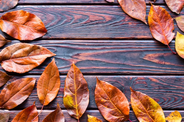 Photo chute des feuilles d'automne sur le fond en bois et de l'espace pour le texte