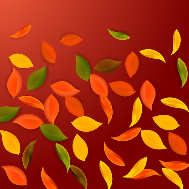 La chute des feuilles d'automne rouge jaune vert brun n