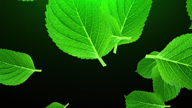 Chute des feuilles vertes Rendu 3D Généré par ordinateur beau fond abstrait