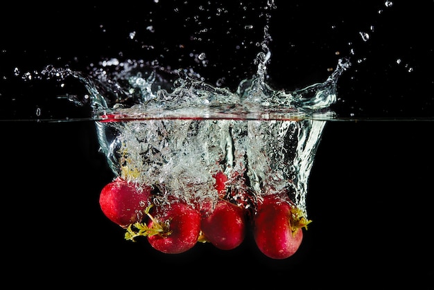 Chute de radis dans l'eau, pulvérisation pour la conception, gel en mouvement. Éclaboussures d'eau et légumes