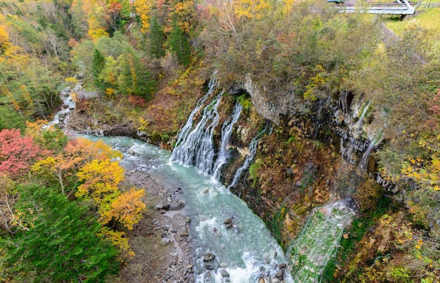 Chute de Shirahige dans la forêt d&#39;automne