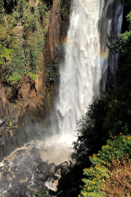 Chutes de Big Thomson. Afrique, Kenya