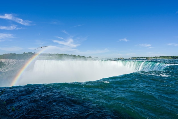 Chutes canadiennes du fer à cheval à Niagara