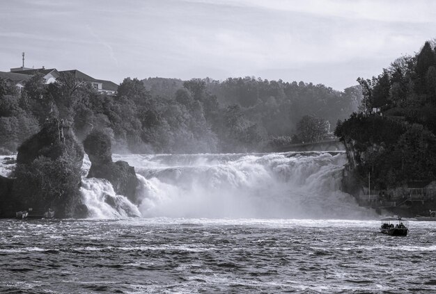 Les chutes du Rhin, noires et blanches, sont les plus grandes chutes d'Europe.