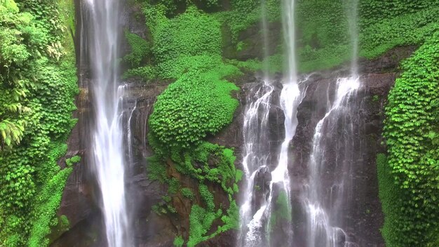 Chutes d'eau dans la forêt de bali, Indonésie. Débit d'eau des pierres dans l'île tropicale. Vue aérienne.