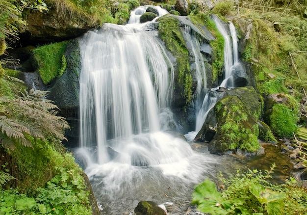 Photo les chutes d'eau idylliques de triberg