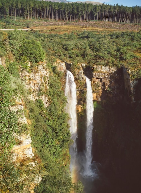 Les chutes MacMac sont une cascade de 65 mètres sur la rivière MacMac dans la réserve naturelle de la forêt MacMac Mpumalanga Afrique du Sud