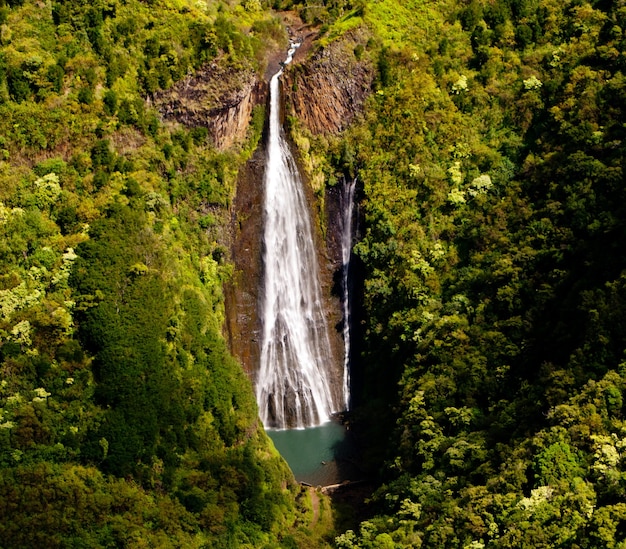 Chutes de Manawaiopuna à Kauai