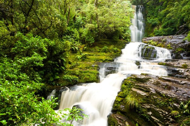 Les chutes McLean dans les Catlins