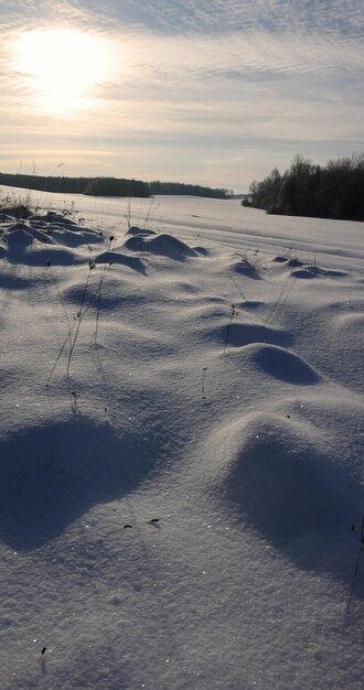 des chutes de neige après une chute de neige en hiver