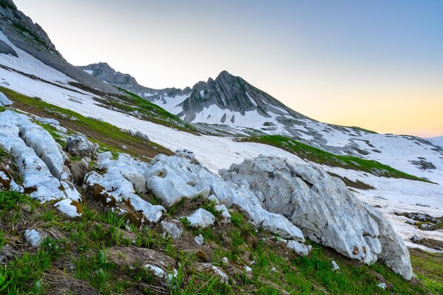 Les chutes de neige et l'herbe verte au sommet des montagnes dans la forêt tropicale au lever du soleil l'alpin