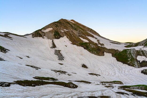 Photo les chutes de neige et l'herbe verte au sommet des montagnes dans la forêt tropicale au lever du soleil l'alpin
