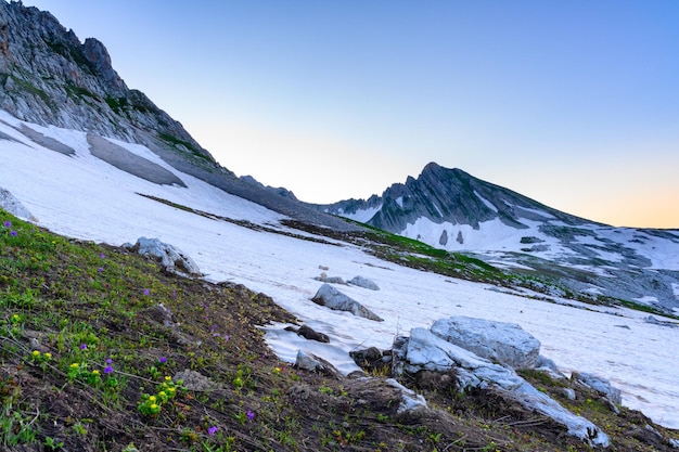 Photo les chutes de neige et l'herbe verte au sommet des montagnes dans la forêt tropicale au lever du soleil l'alpin