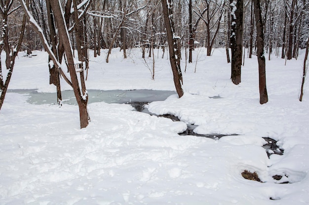 Chutes de neige à Moscou. Paysage d'hiver avec des plaques de dégel dans la neige...