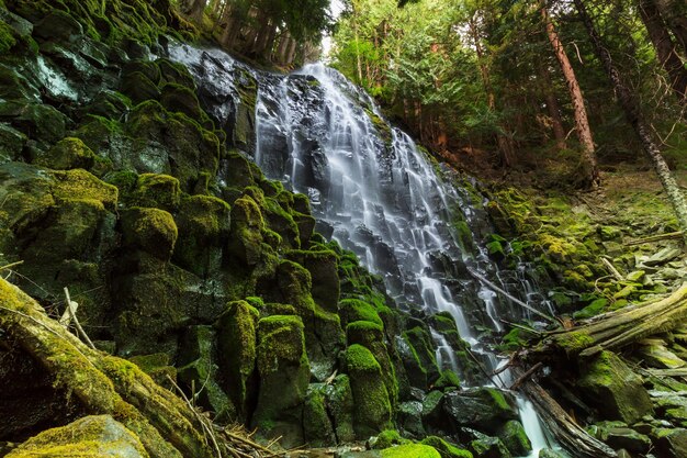 Chutes de Ramona