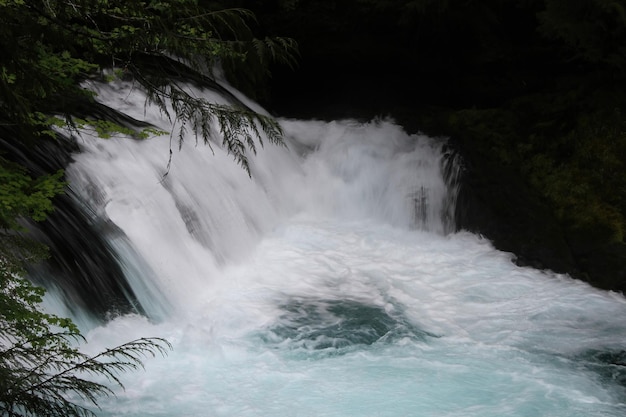 Chutes Sahelie Désert Deschutes