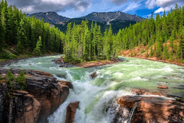 Chutes Sunwapta dans le parc national Jasper Canada