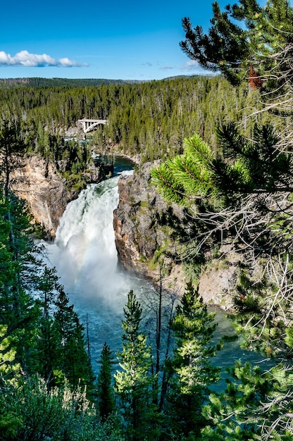 Chutes supérieures dans le Grand Canyon de la rivière Yellowstone dans le Parc National de Yellowstone