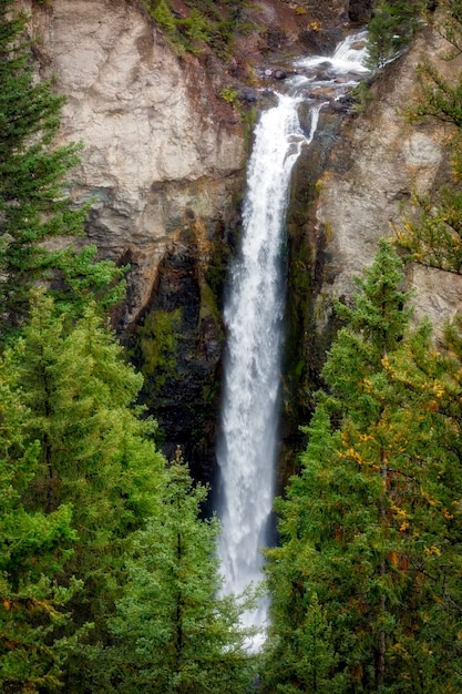 Chutes de la tour