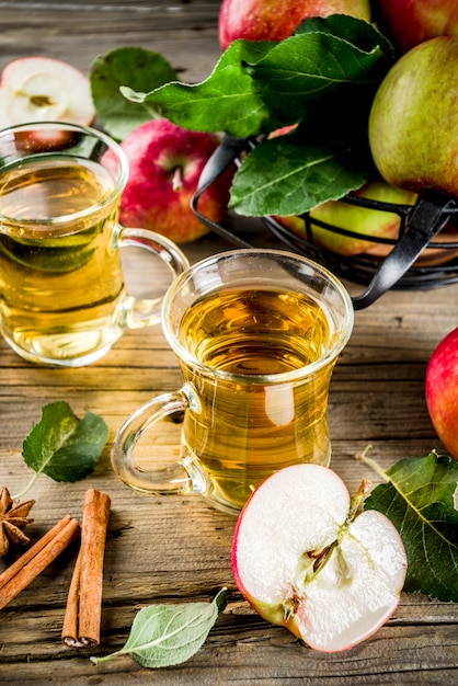 Cidre de pomme fait maison avec des épices de cannelle et d'anis, avec des pommes fraîches