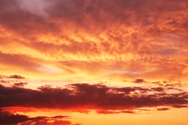 Photo le ciel au crépuscule, le coucher de soleil, le fond de la nature, les nuages doux et dorés, le lever du soleil tôt le matin, le pastel dramatique.