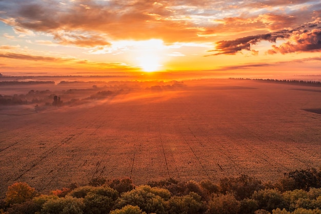 Le ciel de l'aube sur le village Un magnifique paysage matinal