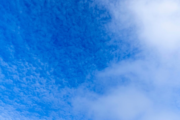 Ciel bleu avec beaucoup de petits nuages blancs