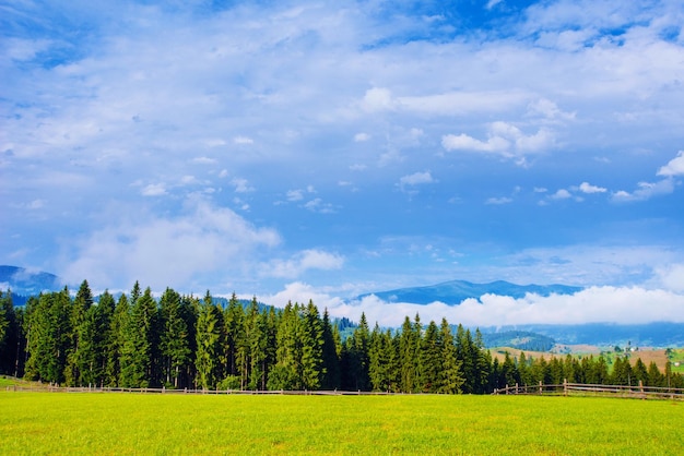 Le ciel bleu avec une belle prairie