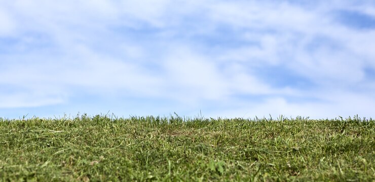 Photo ciel bleu blanc avec des nuages et de l'herbe verte fraîche sur la bannière de fond.