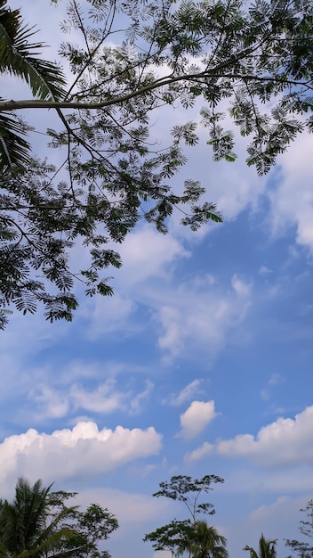 Un ciel bleu clair avec des nuages