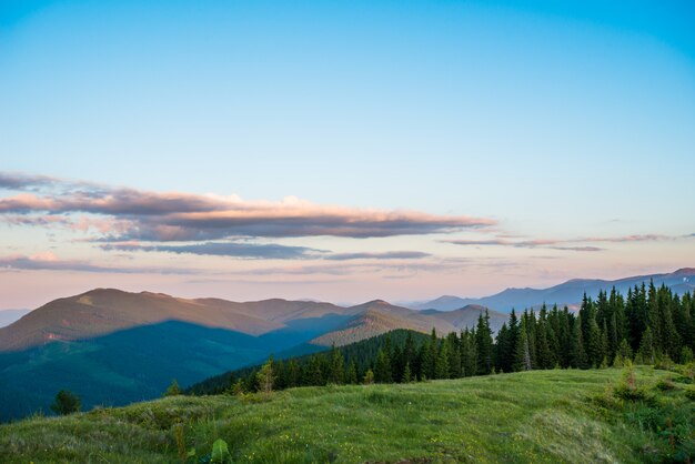 Ciel bleu et collines verdoyantes.