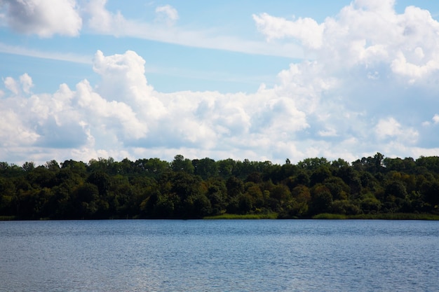 Ciel bleu du lac bleu et forêt sur le rivage par une journée d'été ensoleillée. Loisirs de plein air