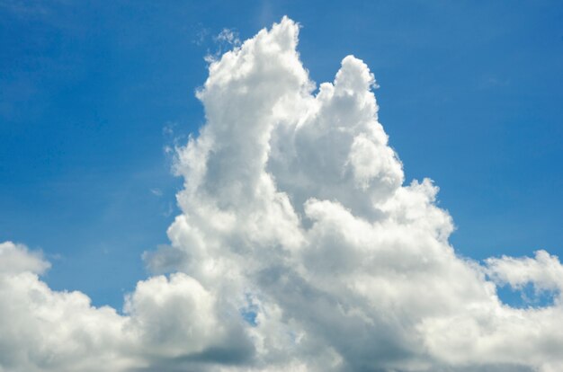 Ciel bleu, fond à motifs, flou