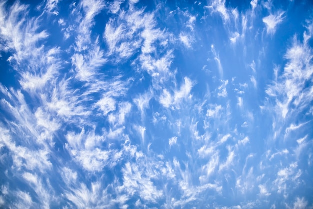 Photo ciel bleu avec fond de nuage